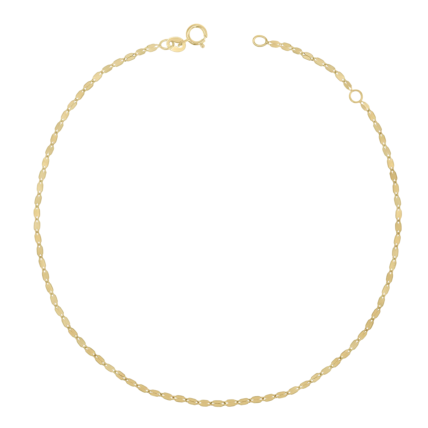 Demure Chain Anklet