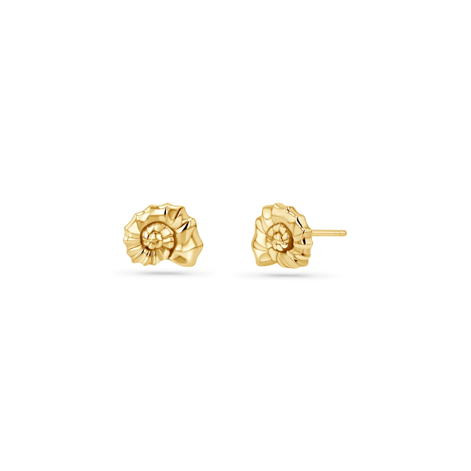 Soleil Nautilus Seashell Stud Earrings