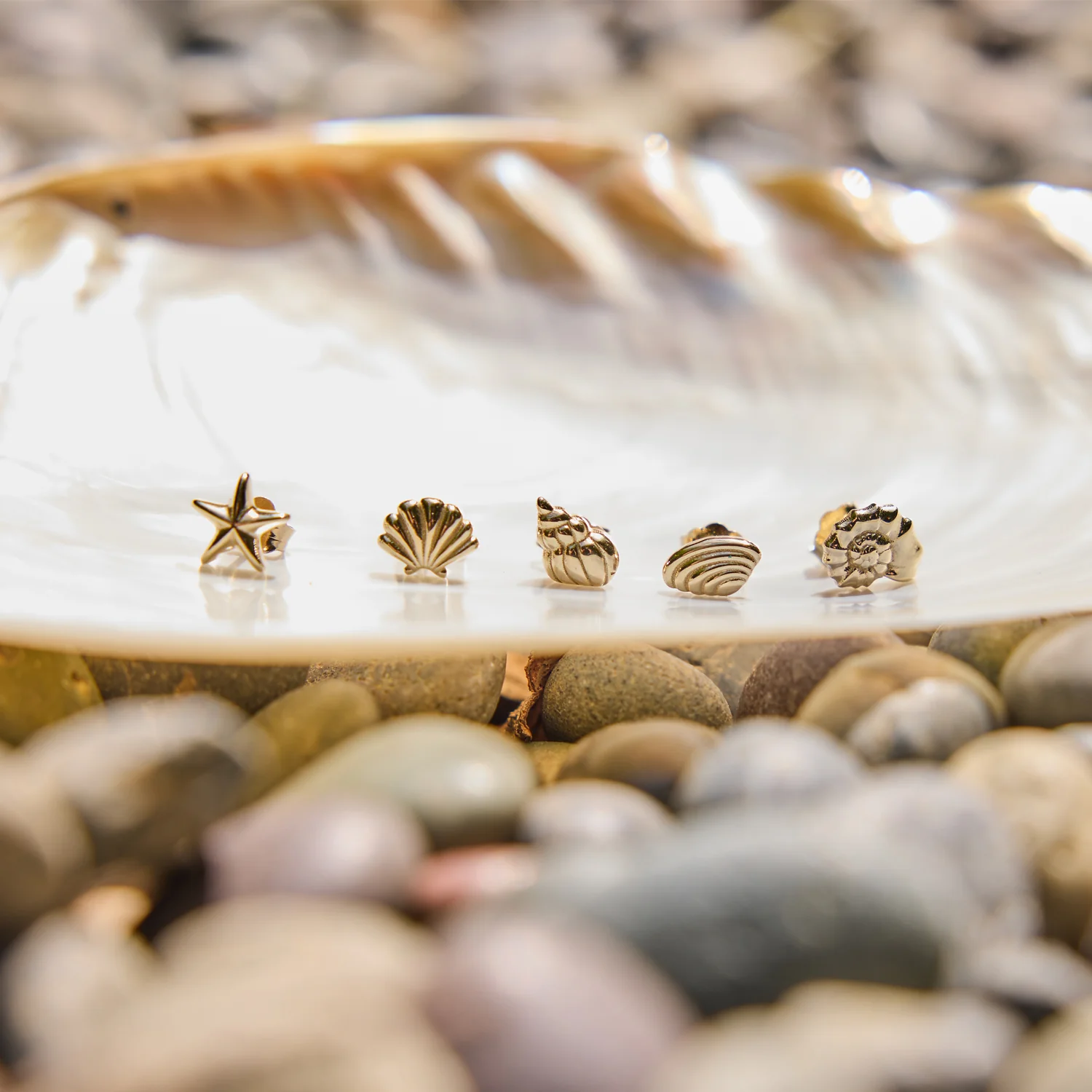 Soleil Nautilus Seashell Stud Earrings - Image 7