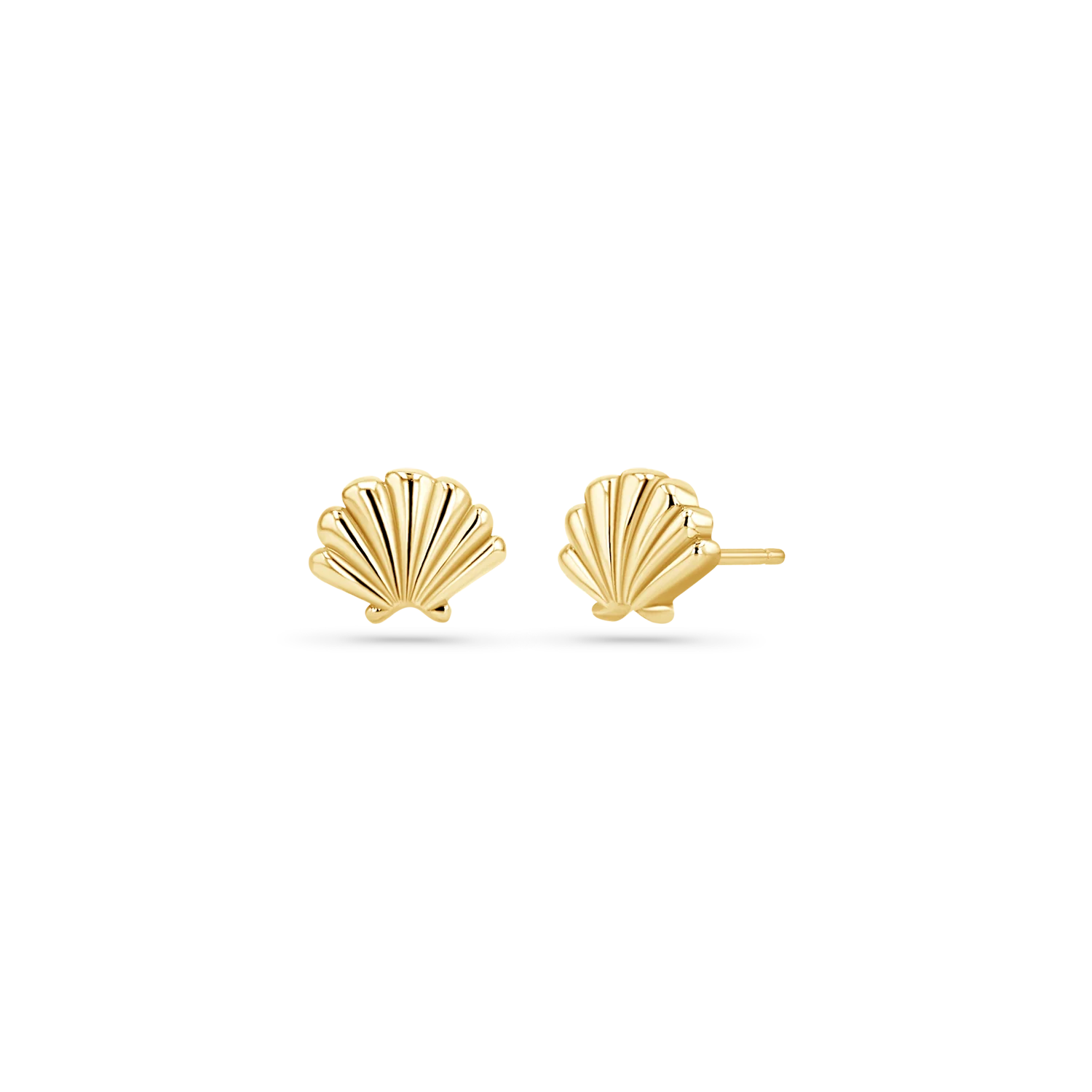 Soleil Scallop Seashell Stud Earrings