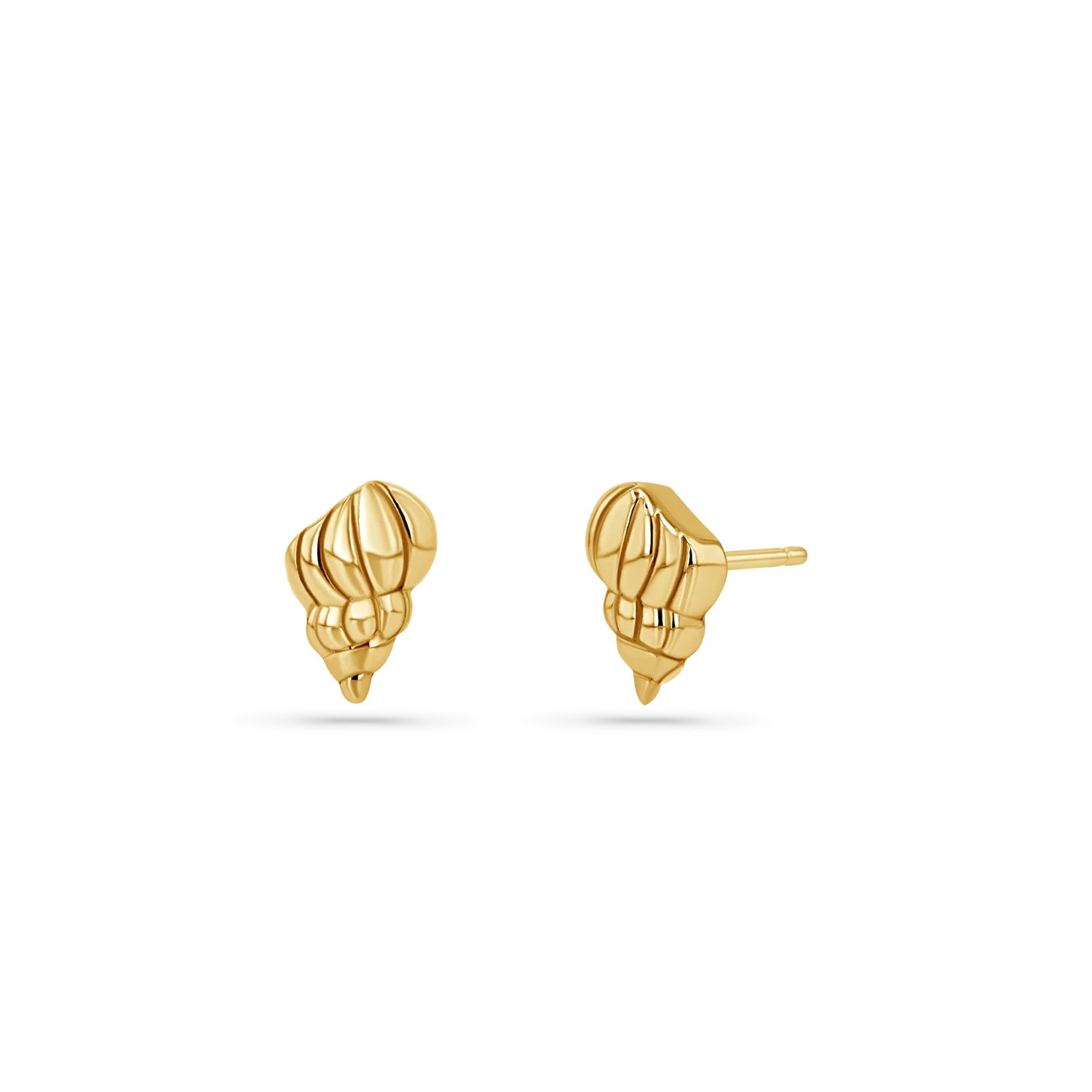 Soleil Tulip Seashell Stud Earrings
