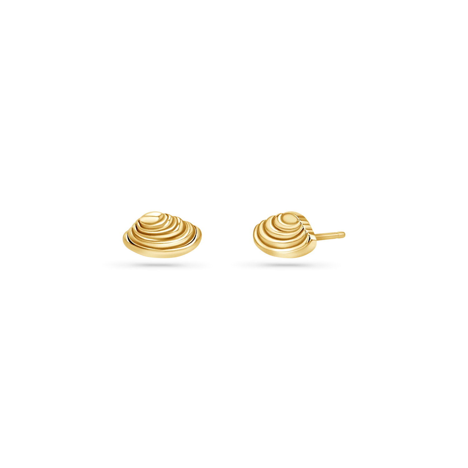 Soleil Venus Seashell Stud Earrings